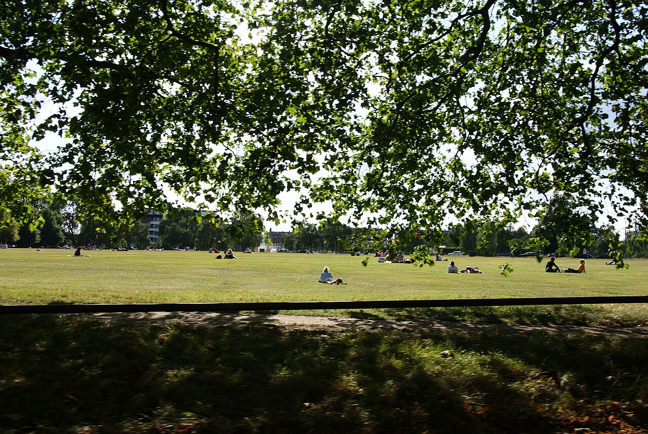 Green open space and mature trees on Clapham Common