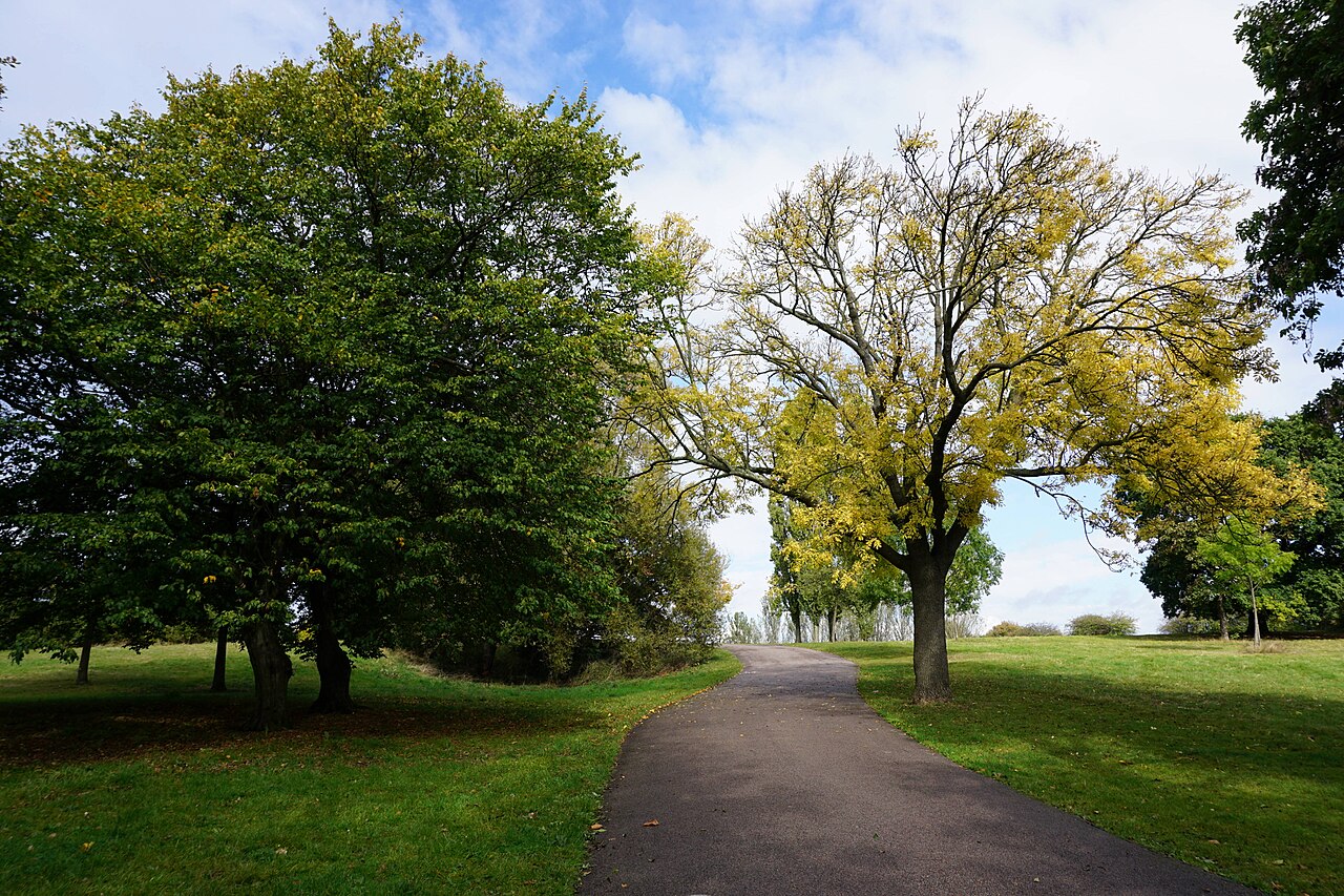 Trees and open lawns in Mountsfield Park, Catford