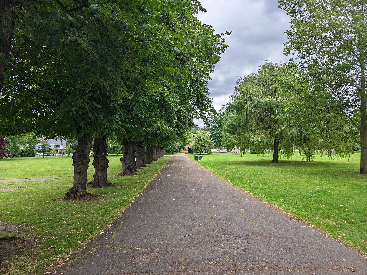 Tree-lined avenue through the middle of Ruskin Park