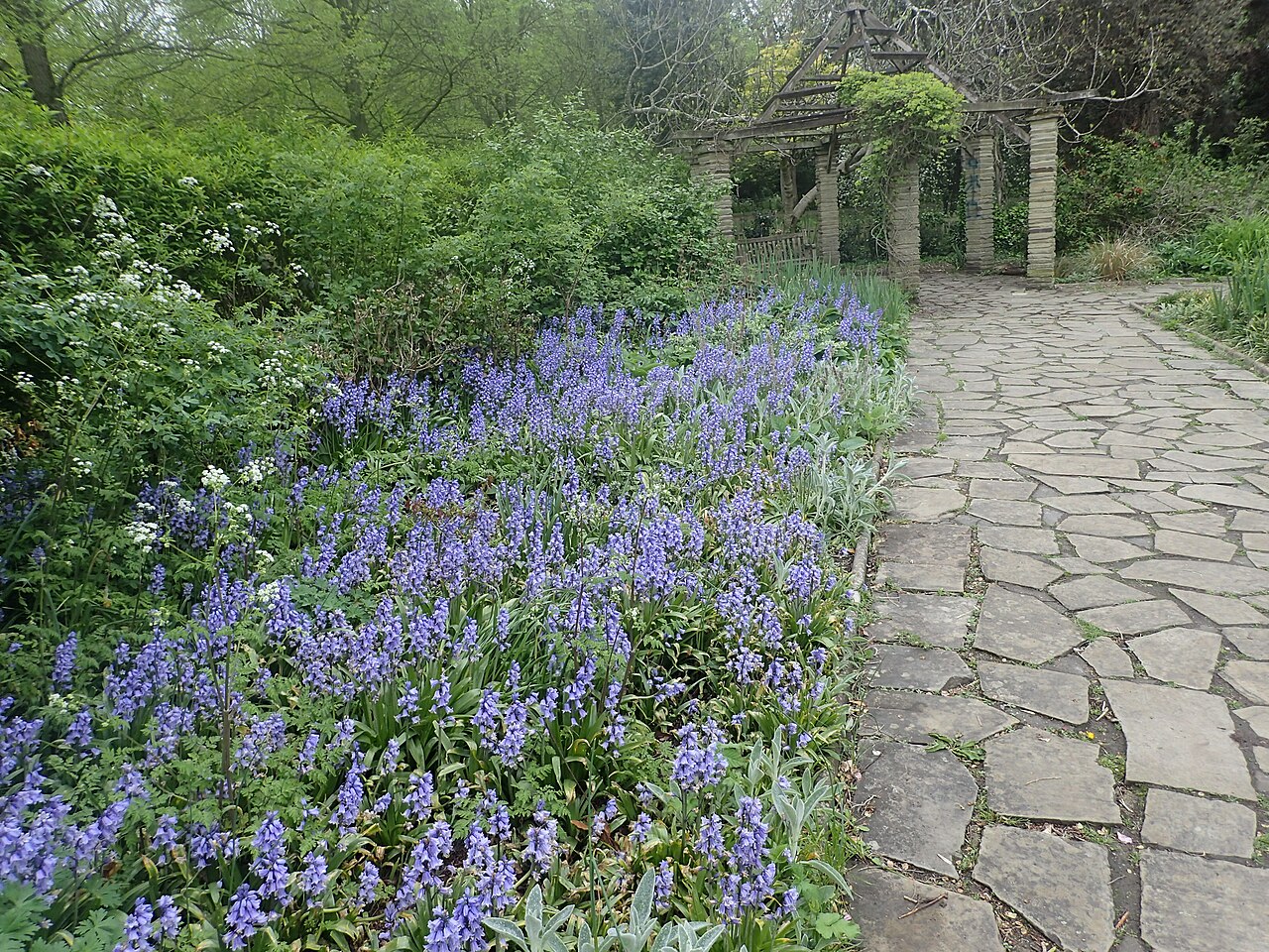 Paths and planting in the Sexby Garden, Peckham Rye Park
