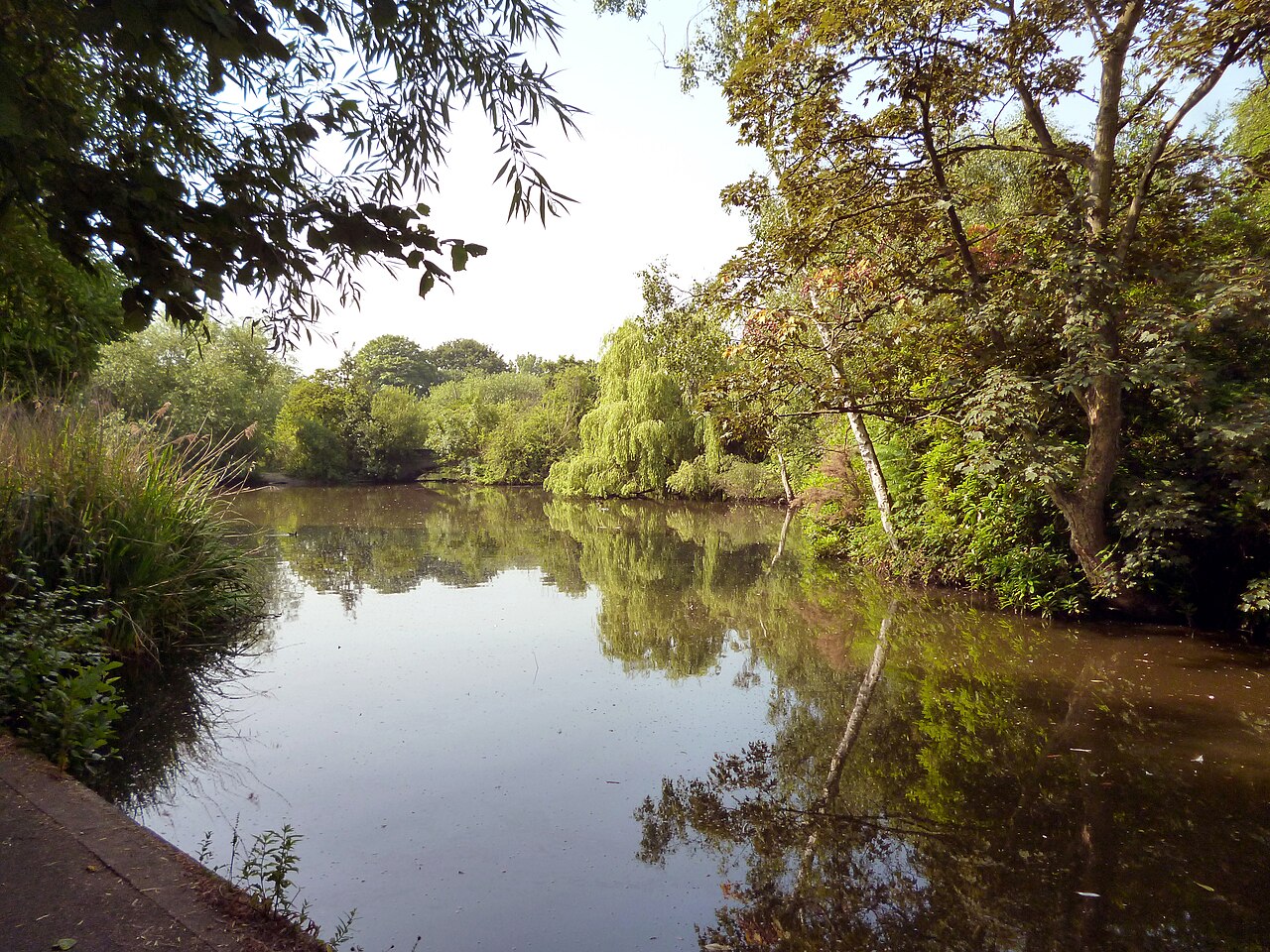 The lake on Wandsworth Common fringed by weeping willows