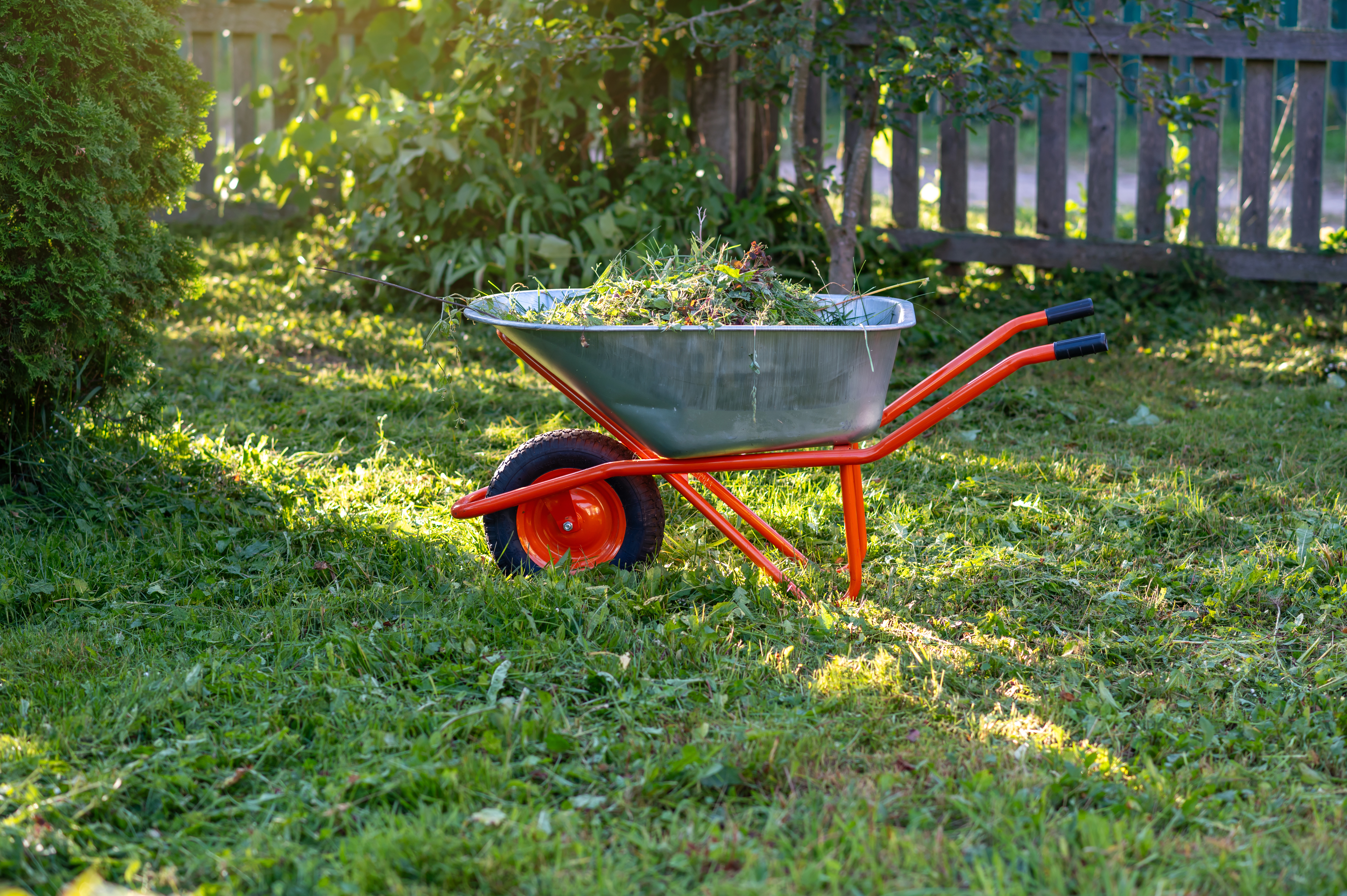 A cleared and tidy garden plot