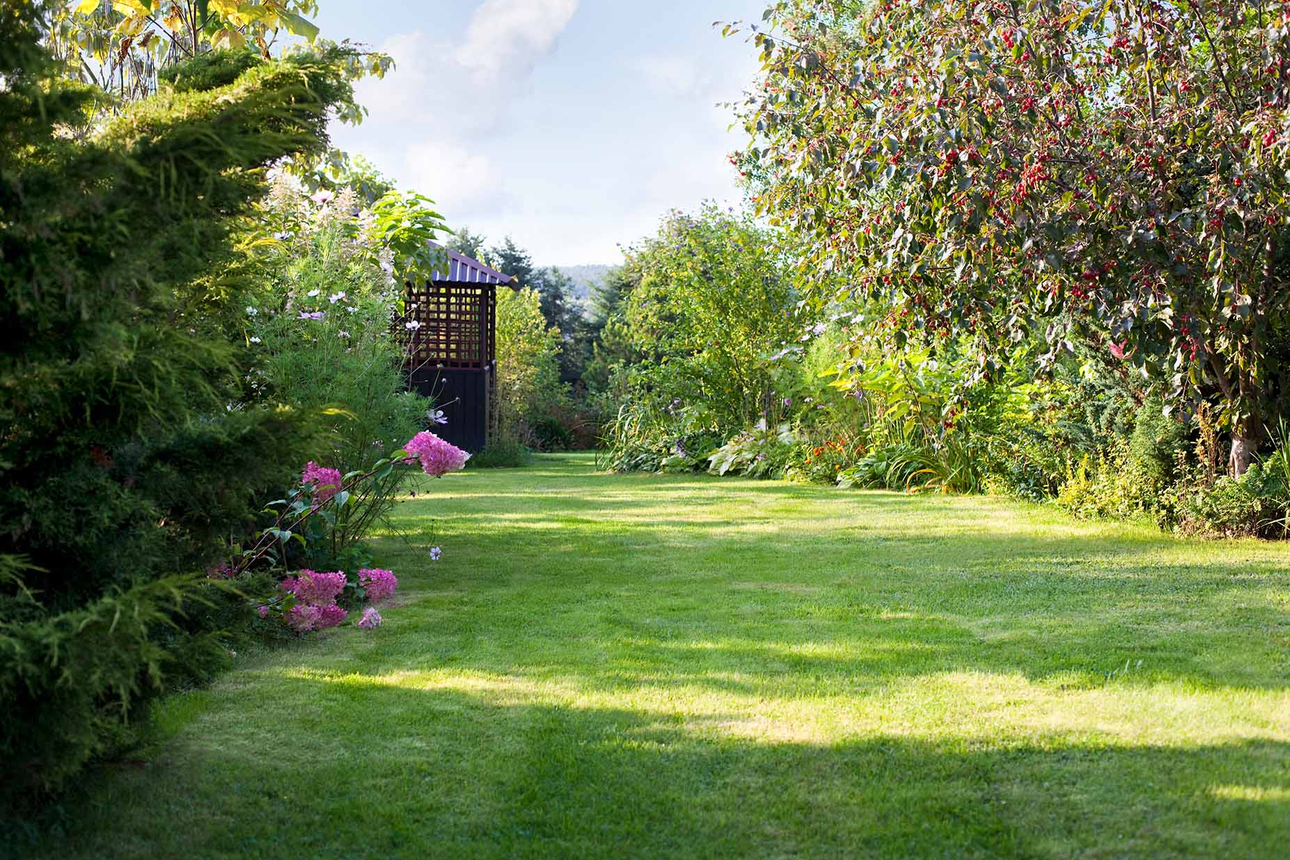 A well-maintained garden lawn with neatly trimmed borders
